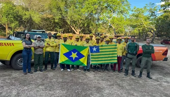 Piauí chega a 1.442 brigadistas formados.