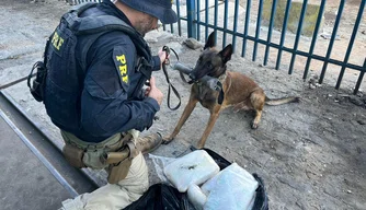 PRF apreende 20 kg de maconha em ônibus.