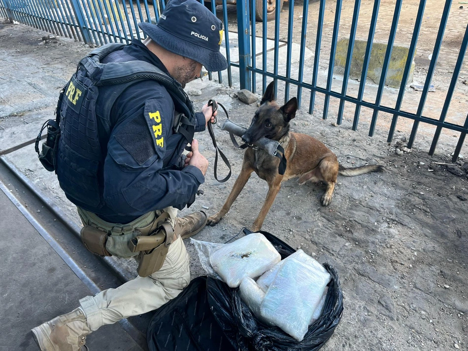 PRF apreende 20 kg de maconha em ônibus.