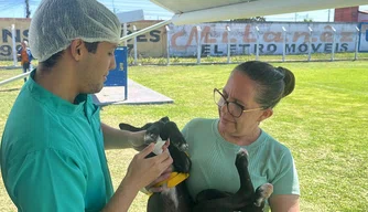 Atendimento do Castramóvel