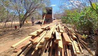 Semarh apreendeu 213 m³ de madeira ilegal em 2025, aumento de 86% em relação ao ano passado.