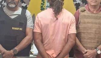 Suspeito de série de furtos é preso em Teresina