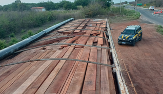 Madeira serrada transportada com documentação irregular