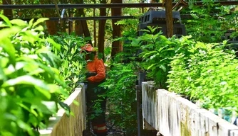 O recurso digital permitirá que o cidadão tenha acesso, de forma rápida e prática,