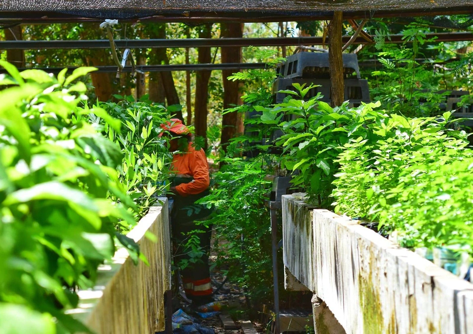 O recurso digital permitirá que o cidadão tenha acesso, de forma rápida e prática,