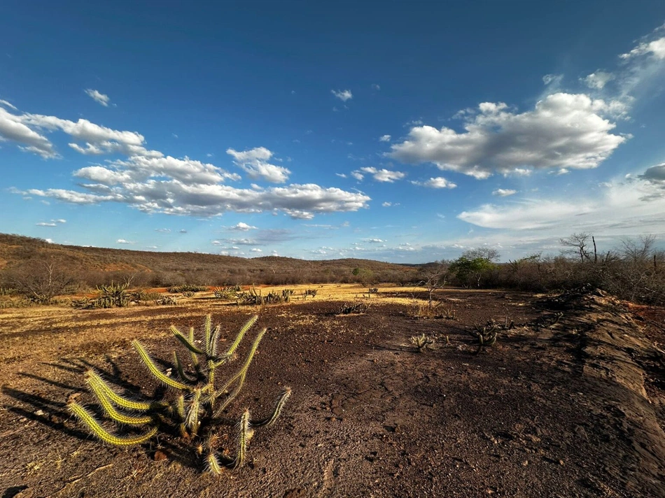 Piauí registra seca extrema após sete anos
