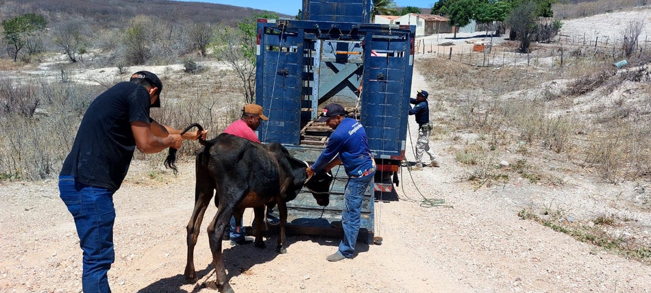 Operação Porteira Fechada