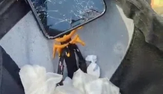 Polícia Civil cumpre mandados em Altos.