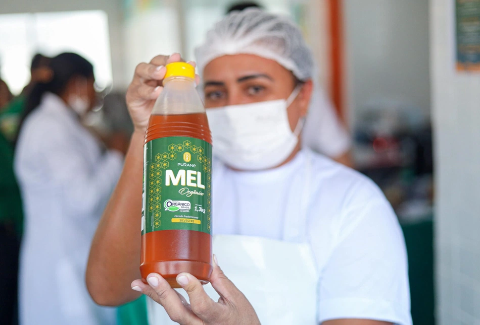 Sesapi anuncia compra de mel para merendas escolares