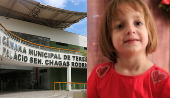 Câmara de Teresina realiza audiência para discutir segurança nas escolas após morte de Alice Brasil