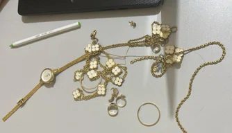 Mulher suspeita de furtar joias é presa pela Polícia Civil em Teresina