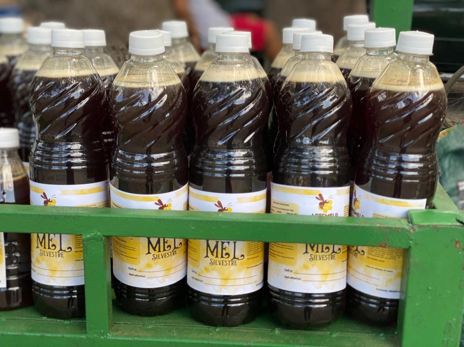 Entrega da Casa do Mel na comunidade Vila Progresso