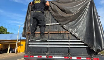 Operação Custodia Naturae já apreendeu 294 m³ de madeira ilegal no Piauí.