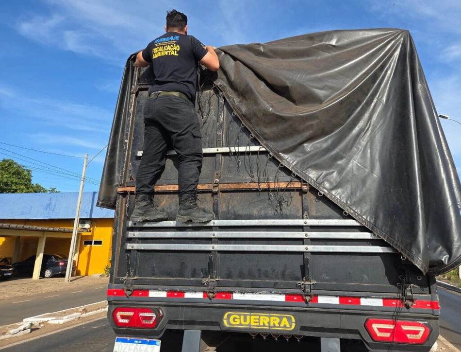 Operação Custodia Naturae já apreendeu 294 m³ de madeira ilegal no Piauí.