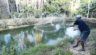 Piscicultura no Piauí
