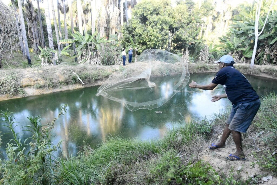 Piscicultura no Piauí
