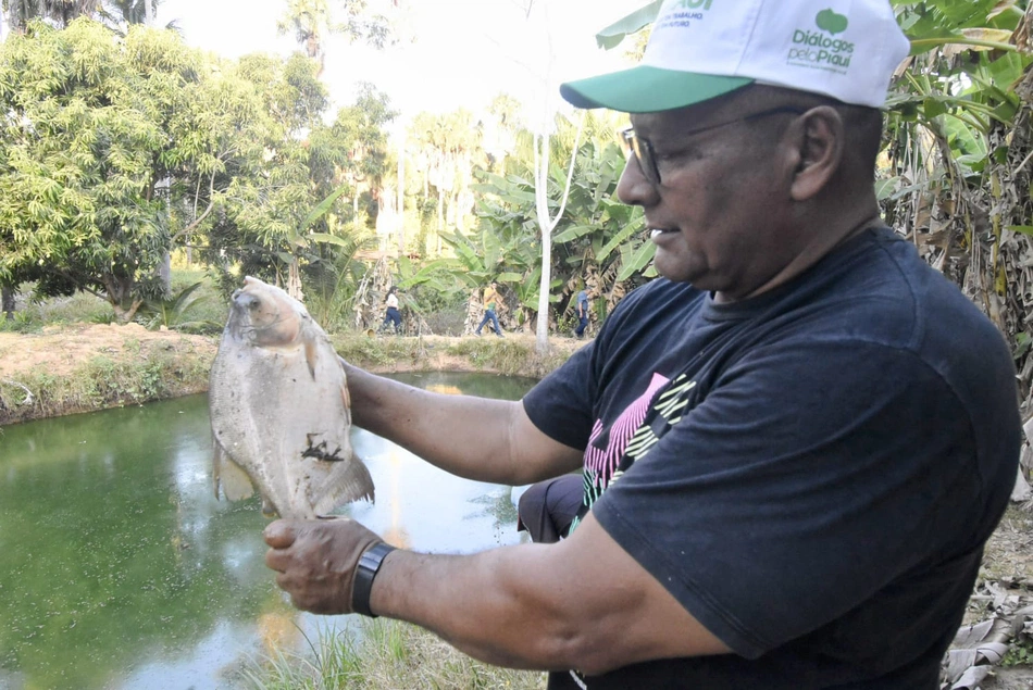 Piscicultura no Piauí