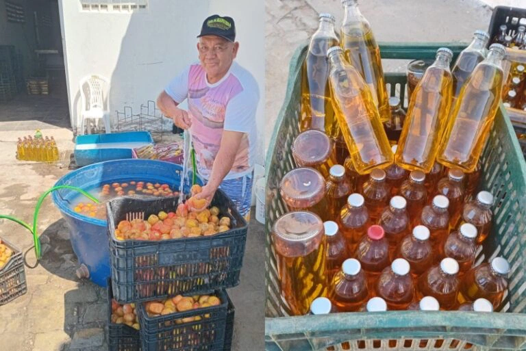 Cooperativa conquista registro para produção de cajuína certificada