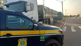 PRF apreende 58 m³ de madeira nativa