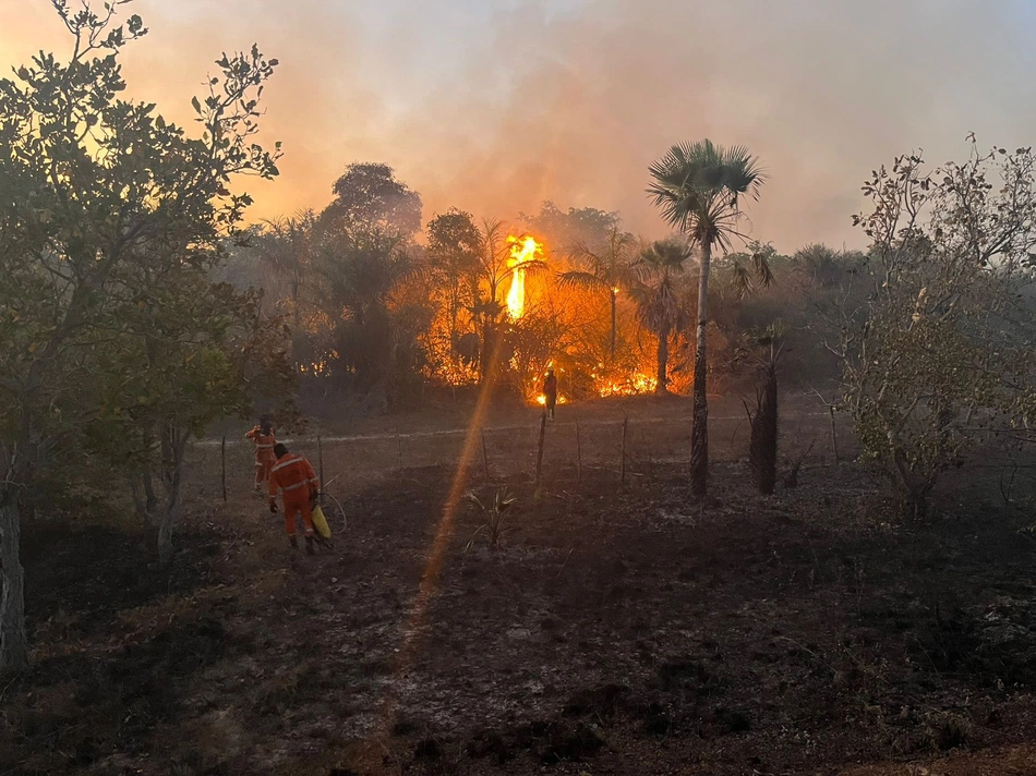 Corpo de Bombeiros atuam em três incêndios simultâneos no Piauí