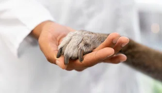 Alunos e professores de Medicina Veterinária realizam evento sobre cuidado aos animais