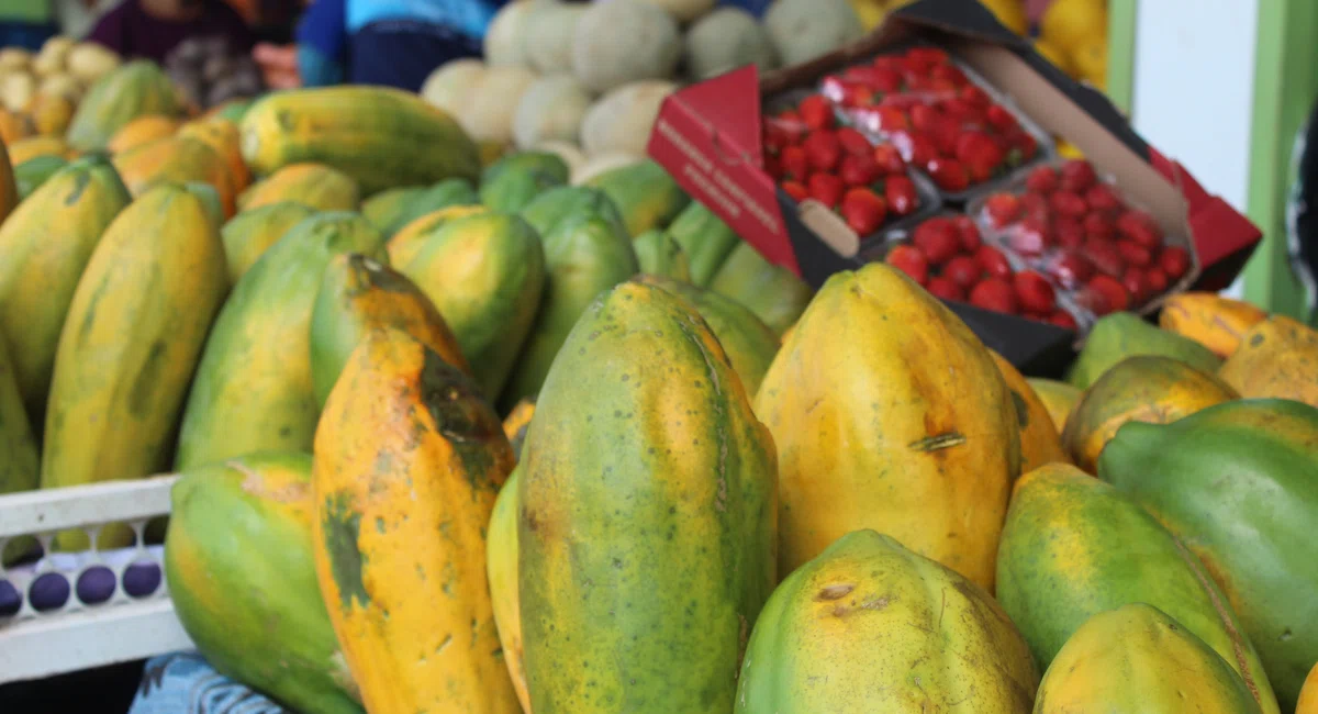 Consumo de frutas durante B-R-O-Bró