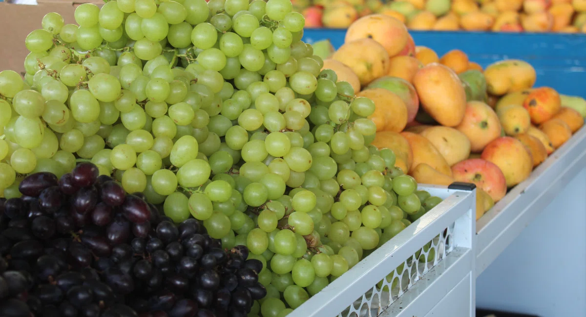 Consumo de frutas durante B-R-O-Bró