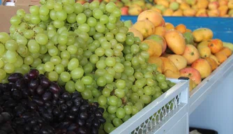 Consumo de frutas durante B-R-O-Bró