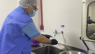 Vigilância Sanitária