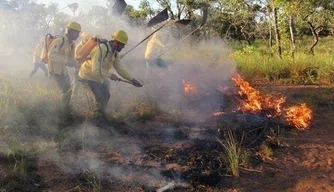 Cerca de 900 ocorrências de combate a fogo em vegetação em todo o Piauí.