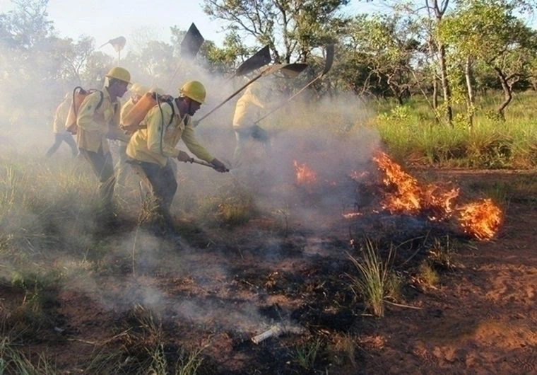Cerca de 900 ocorrências de combate a fogo em vegetação em todo o Piauí.