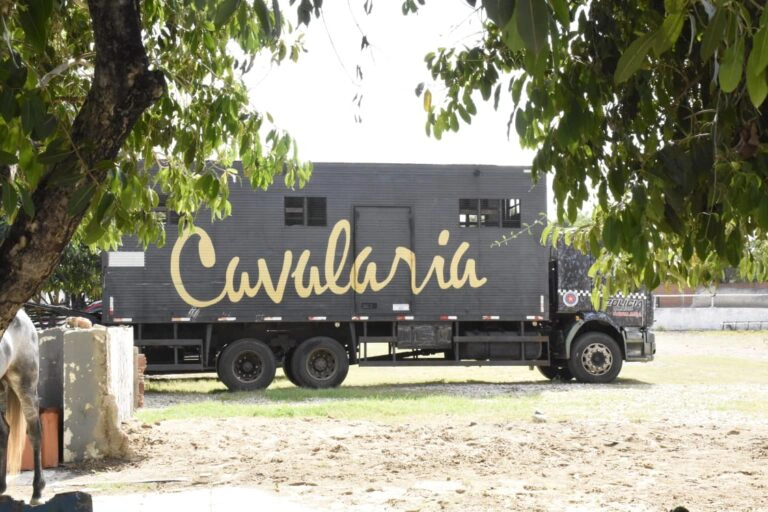 Cavalaria da Polícia Militar