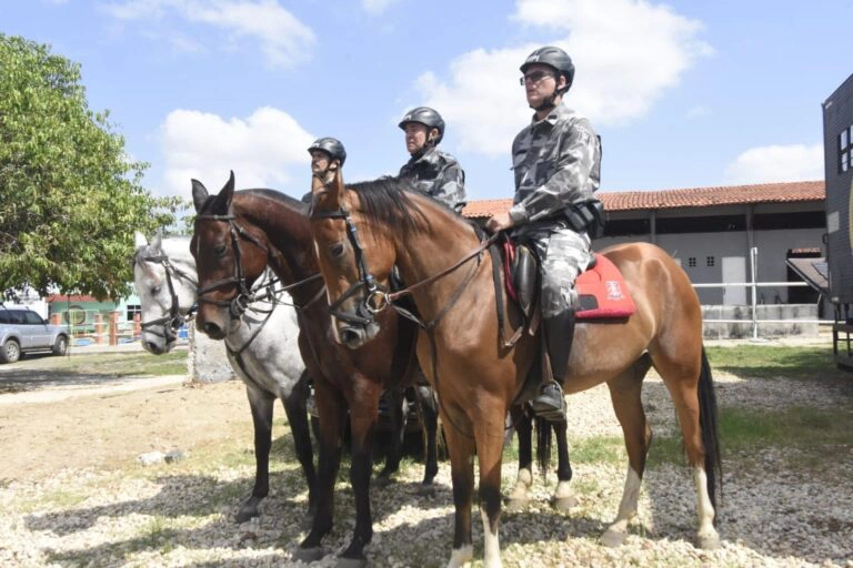 Cavalaria da Polícia Militar
