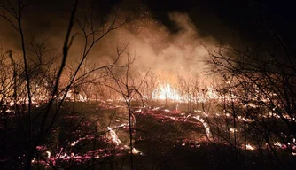 Incêndio em Pimenteiras
