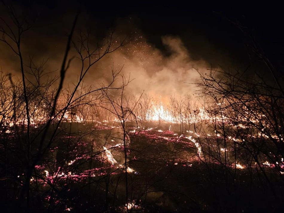 Incêndio em Pimenteiras