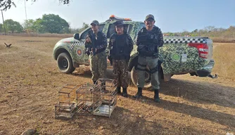 Polícia Militar resgata animais silvestres
