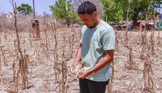 Agricultor Marcos Felipe Viana