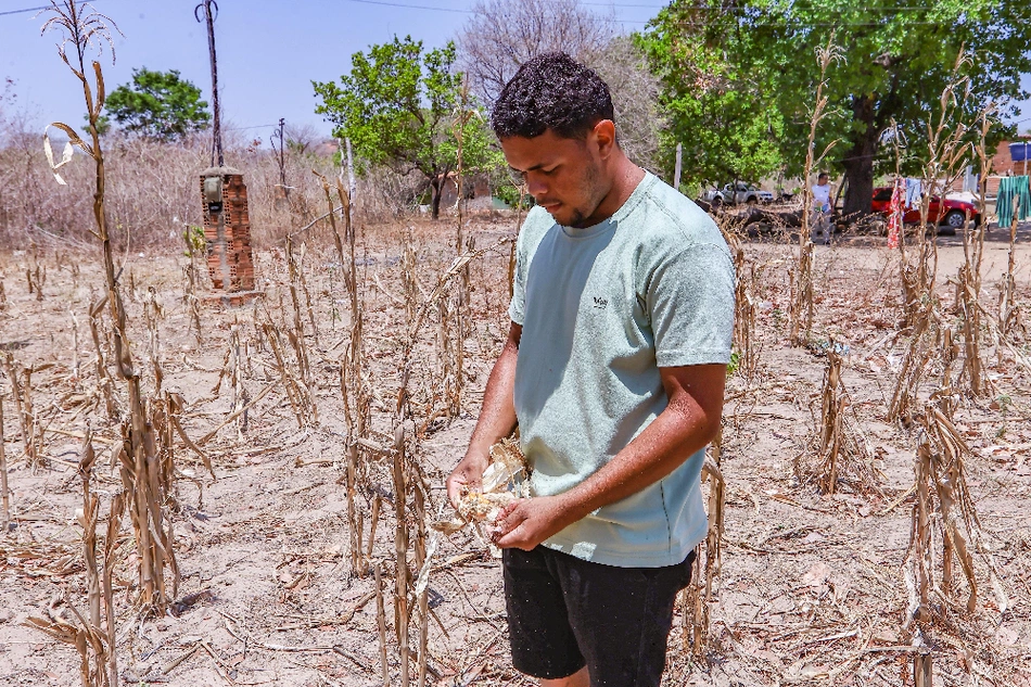Agricultor Marcos Felipe Viana
