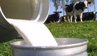 Produção de leite do Piauí
