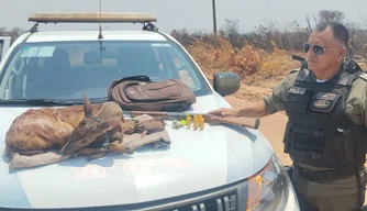 Animal silvestre abatido e material apreendido pela PM