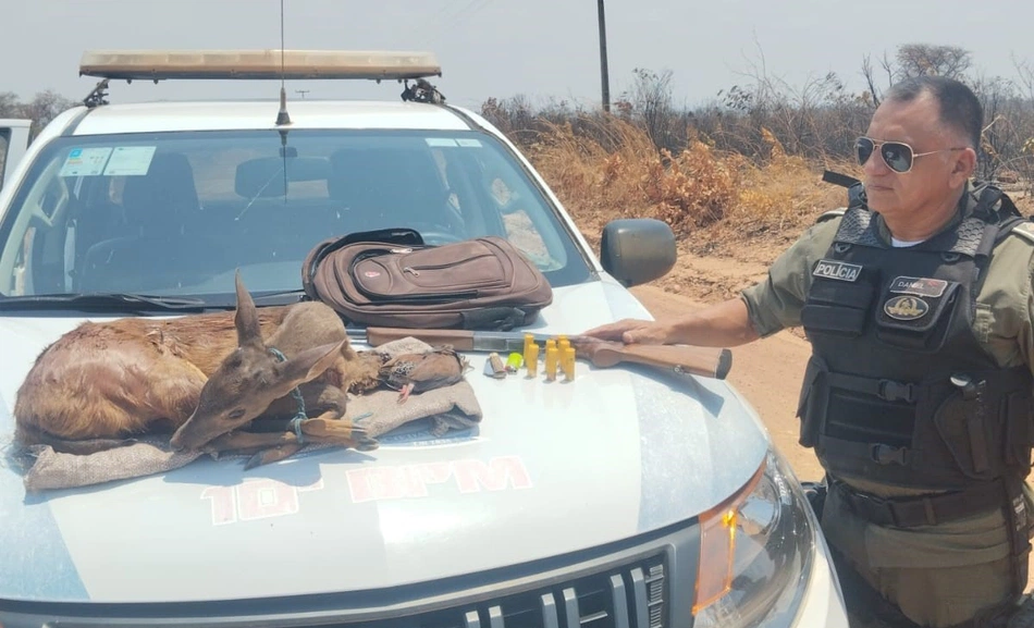 Animal silvestre abatido e material apreendido pela PM