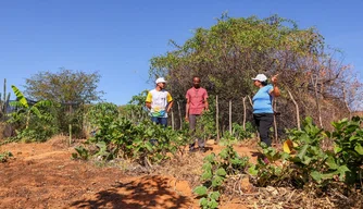 Projeto Piauí Sustentável e Inclusivo