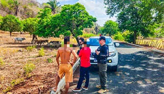 Operação Porteira Fechada