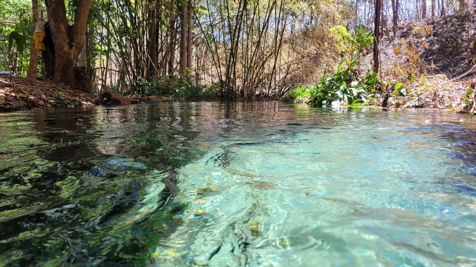 Plano Estadual de Conservação e Recuperação de Nascentes