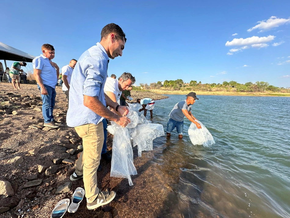 Plano Estadual de Conservação e Recuperação de Nascentes