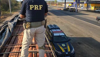 PRF apreende 40 m³ de madeira nativa