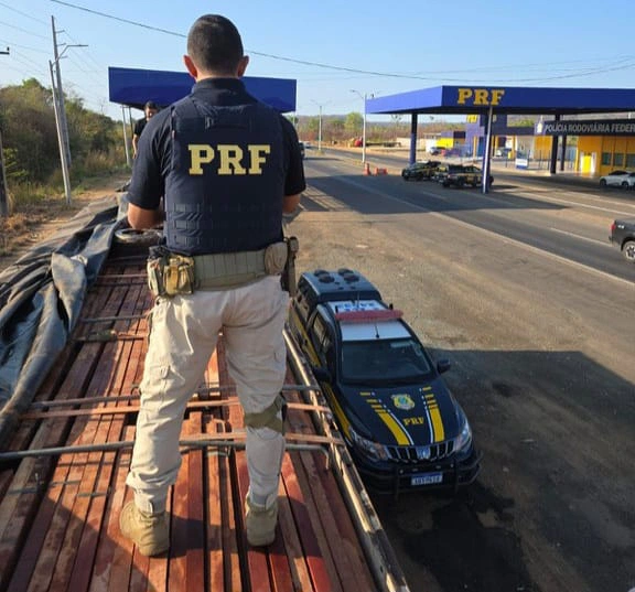 PRF apreende 40 m³ de madeira nativa