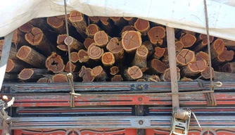 Carga de madeira irregular