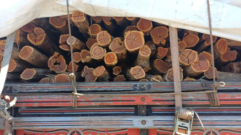 Carga de madeira irregular