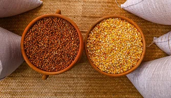 Doação de sementes.